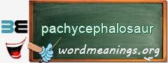 WordMeaning blackboard for pachycephalosaur